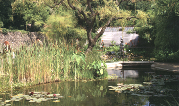 giardino acquatico della Bambouseraie a Andouze