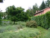 Clicca sopra per ingrandire l'immagine