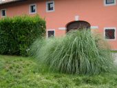 Clicca sopra per ingrandire l'immagine