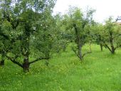 Clicca sopra per ingrandire l'immagine