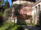 Clicca sopra per ingrandire l'immagine