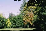 Il parco