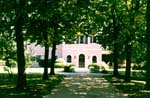 Viale dei tigli