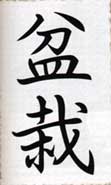 grafia giapponese della parola 'bonsai'