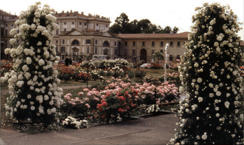 Roseto Fumagalli (Foto di Walter Baldan)