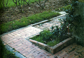 Giardino privato, Siena, anni Trenta