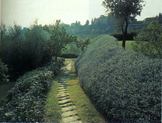 Villa Martello, Fiesole, foto Pozzana