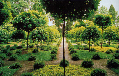 Il Giardino degli Aranci