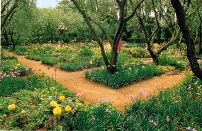 Il Giardino degli Ulivi