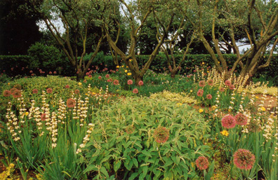 Il Giardino degli Ulivi