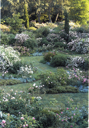 La Valle delle rose