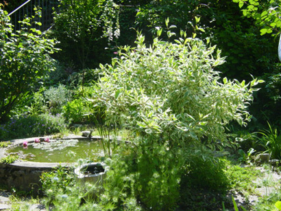 nel giardino di Annamaria