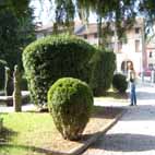 Clicca sopra per ingrandire l'immagine