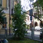 Clicca sopra per ingrandire l'immagine